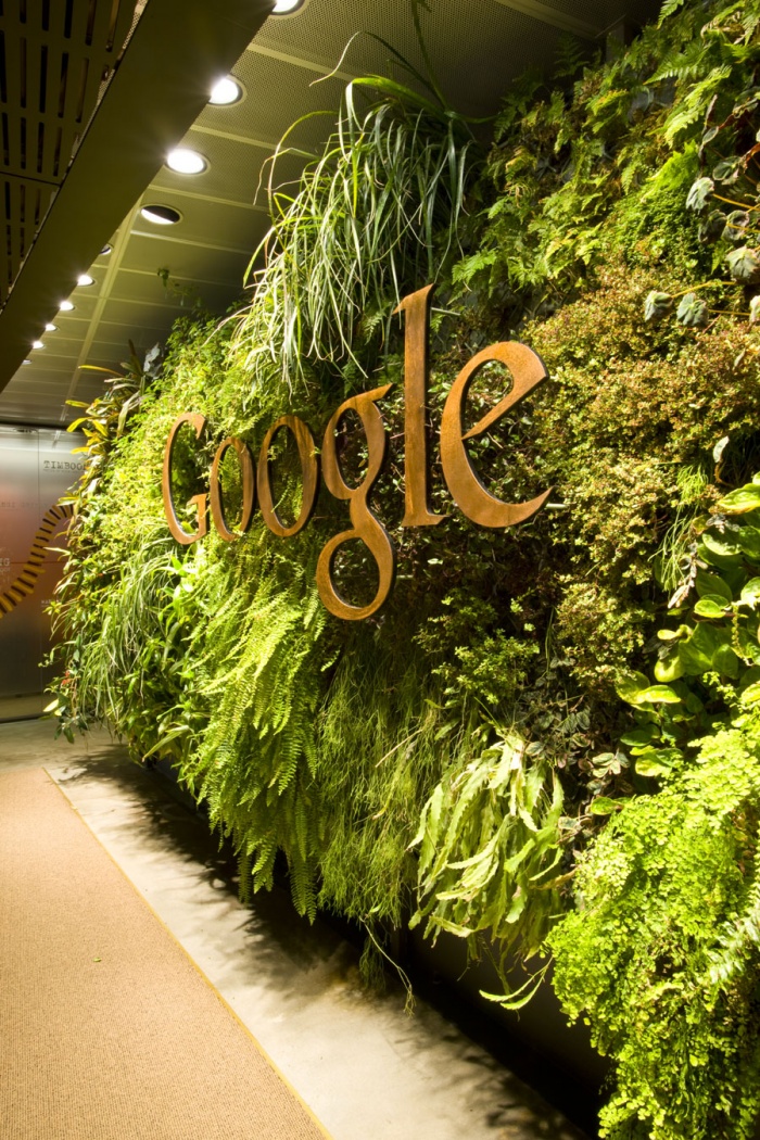 Google Goes Aussie | Green Roofs Australasia