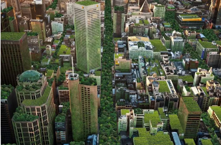 Brisbane City Council ACT | Green Roofs Australasia