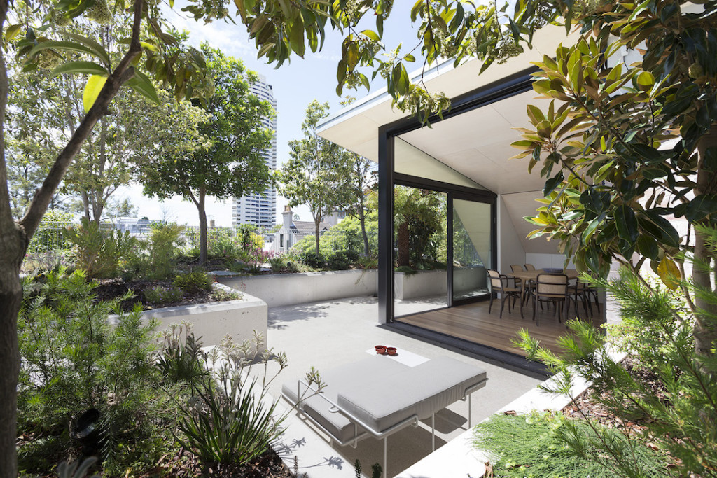 Darlinghurst Rooftop Garden Green Roofs Australasia