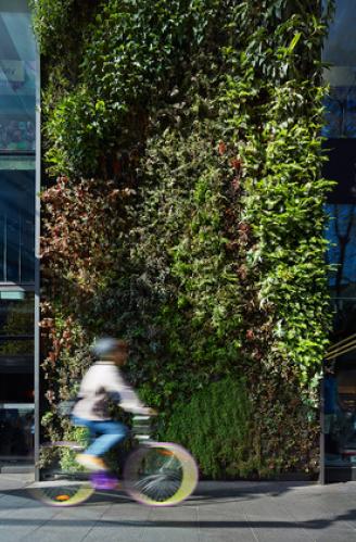 one-central-park-sydney-green-wall