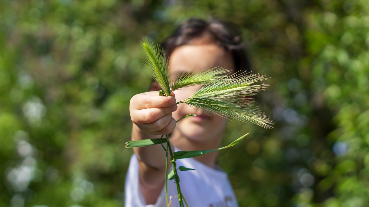 Urban farms, tunnels, rooftops and walls are all being utilised to grow food.