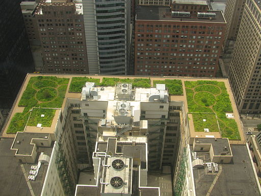 20080708 Chicago City Hall Green Roof