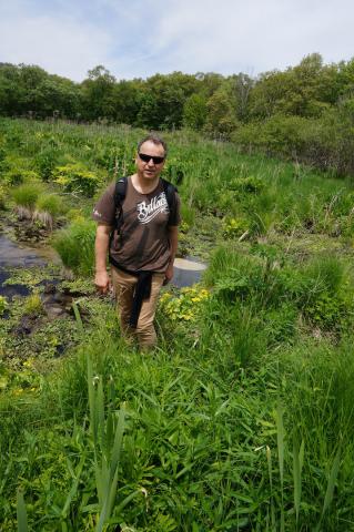 Robert Griffith ecological study on green roof