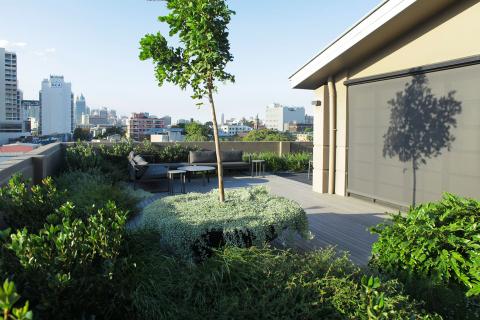 Green roof Redfern by Evolvement PL Robert Griffith 0468 787 071