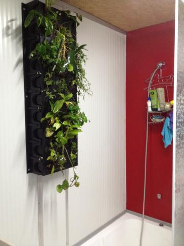 Junglefy system in bathroom