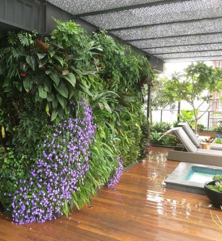 Fytowall by Fytogreen, Greenwall, Melbourne Residences, Vertical Garden, Sustainable, Fytogreen, Green Wall, Green Roof, Greenroof, Award Winning, Aria Property Group, Extensive Roof Garden