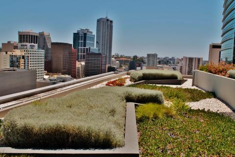 140 William Street , Green Roof , Roof Top Garden , Perth , WA , Deep Green