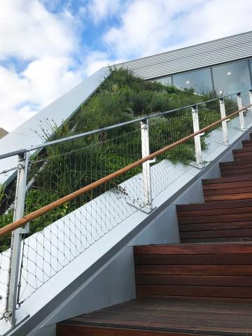 Sloping Roof Garden, Fytogreen, Great Hall Uni SA, Green Roof, Adelaide 
