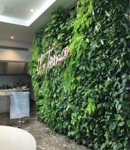 Vertical Garden, Fytogreen, Emporium Hotel, Brisbane, QLD, Greenwall, Greening the built environment, sustainable greening, biofilia, Florafelt, Commercial Green Walls, Neon Signs
