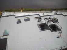 Danrae Waterproofing Installation of TPO membrane to green roof