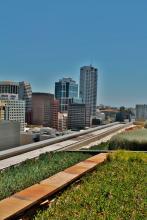 140 William Street , Green Roof , Roof Top Garden , Perth , WA , Deep Green