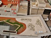 140 William Street , Green Roof , Roof Top Garden , Perth , WA , Deep Green