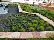 140 William Street , Green Roof , Roof Top Garden , Perth , WA , Deep Green