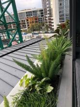 Wentworth Point Marina, 355LM PLanter Boxes by Fytogreen, Greening the Built Environment