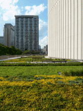 View of the West garden looking North; Photo Source: PLANT Architects