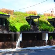 Three homes unified by a continuous sloped green roof.